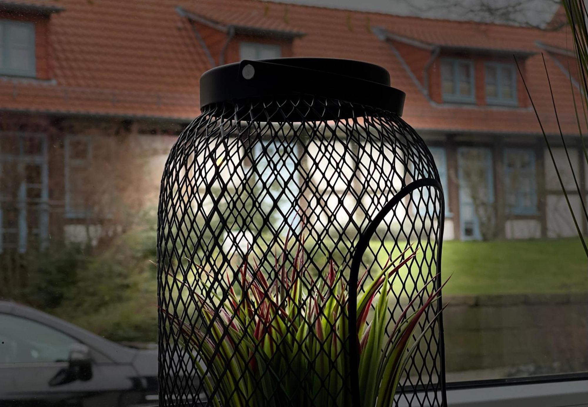 Fachwerkhaus Mit 2 Getrennten Schlafzimmern, Wohnzimmer Und Kueche บุคเคอบวร์ก ภายนอก รูปภาพ